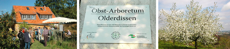 obst-aboretum-1